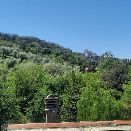 Vecchio Mulino Fontona Ortensia Chiesanuova  Dış mekan fotoğraf