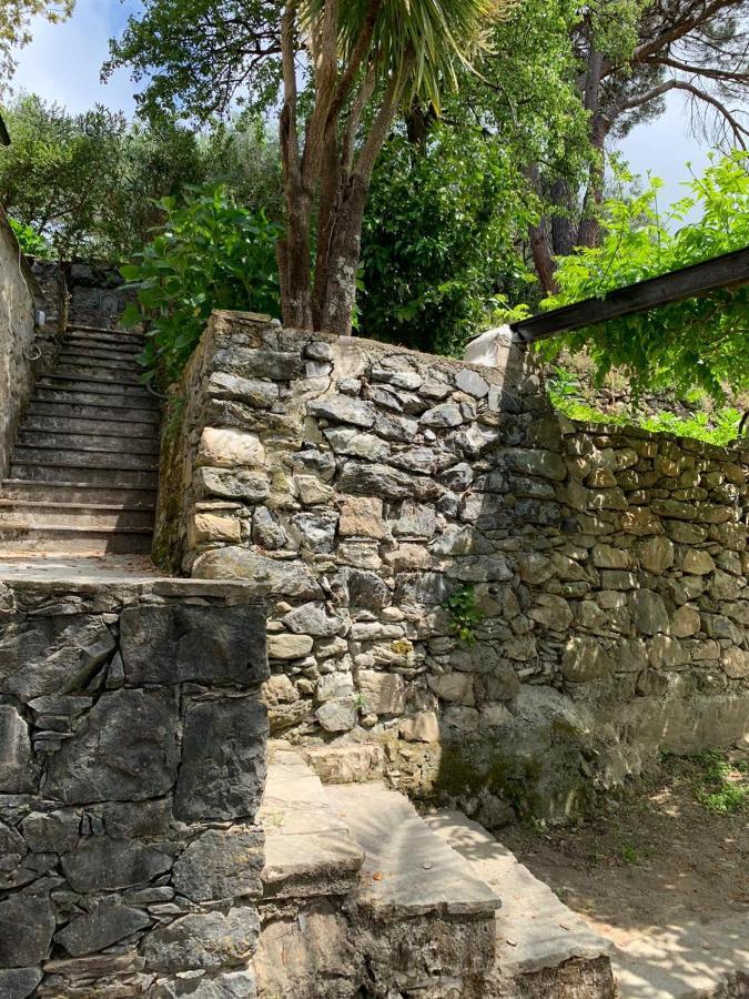 Vecchio Mulino Fontona Ortensia Chiesanuova  Dış mekan fotoğraf