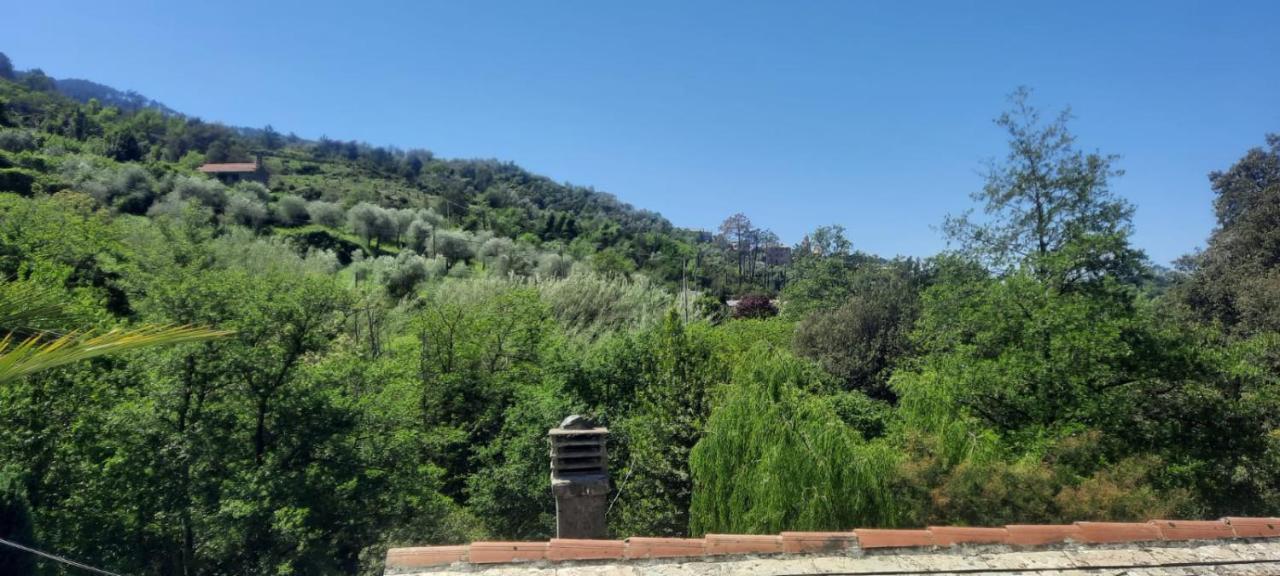 Vecchio Mulino Fontona Ortensia Chiesanuova  Dış mekan fotoğraf