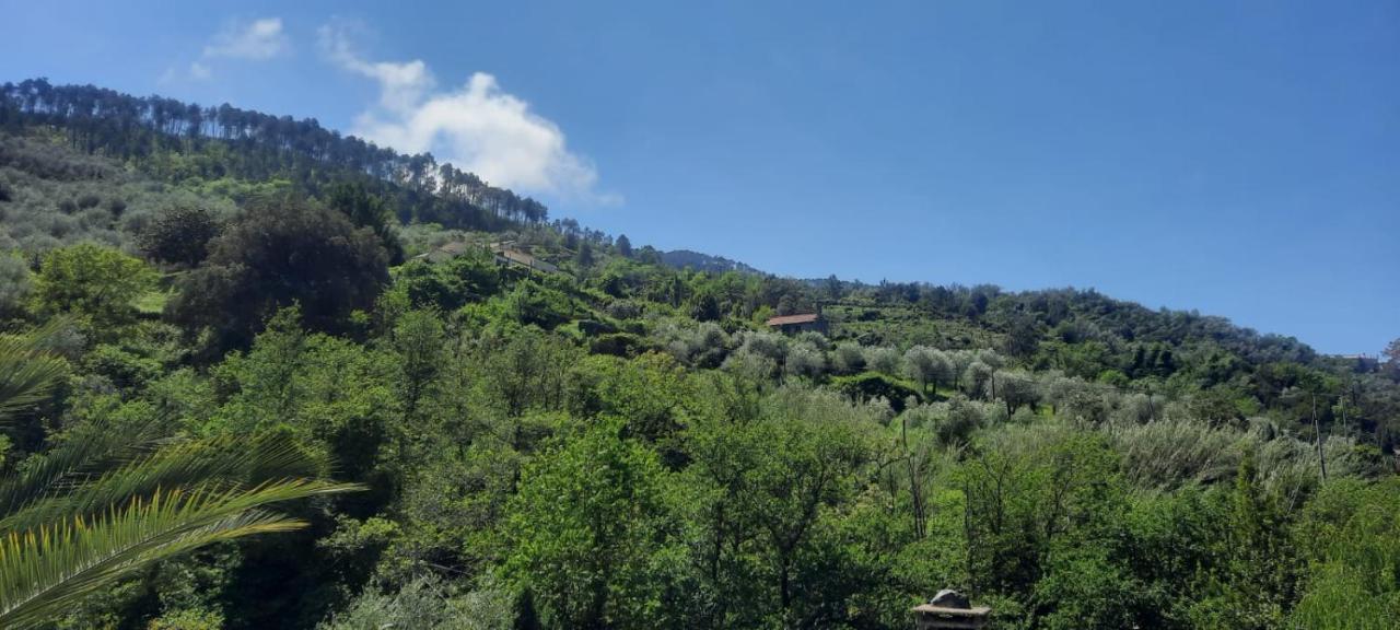 Vecchio Mulino Fontona Ortensia Chiesanuova  Dış mekan fotoğraf