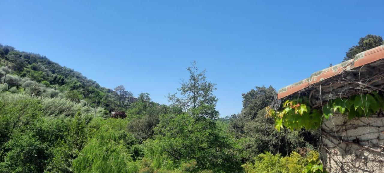 Vecchio Mulino Fontona Ortensia Chiesanuova  Dış mekan fotoğraf