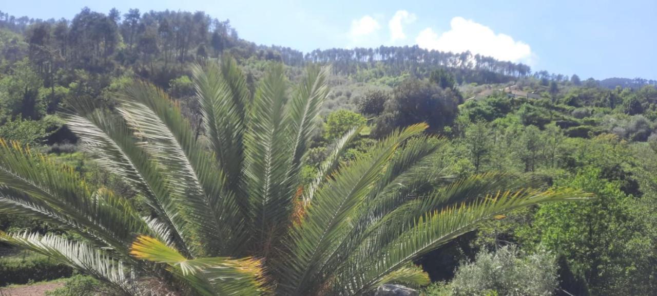 Vecchio Mulino Fontona Ortensia Chiesanuova  Dış mekan fotoğraf