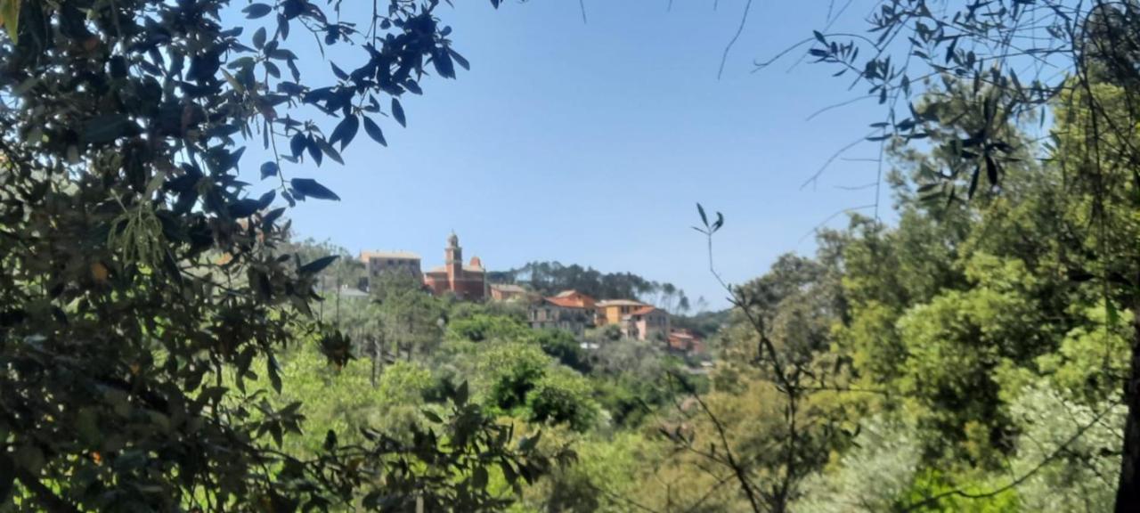 Vecchio Mulino Fontona Ortensia Chiesanuova  Dış mekan fotoğraf