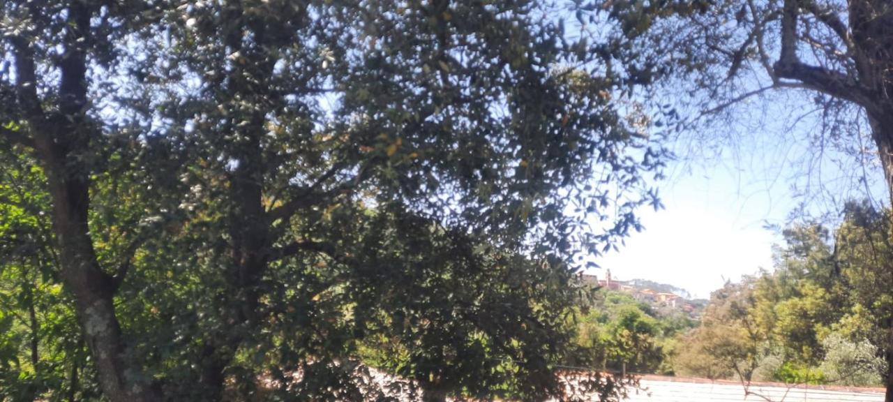Vecchio Mulino Fontona Ortensia Chiesanuova  Dış mekan fotoğraf
