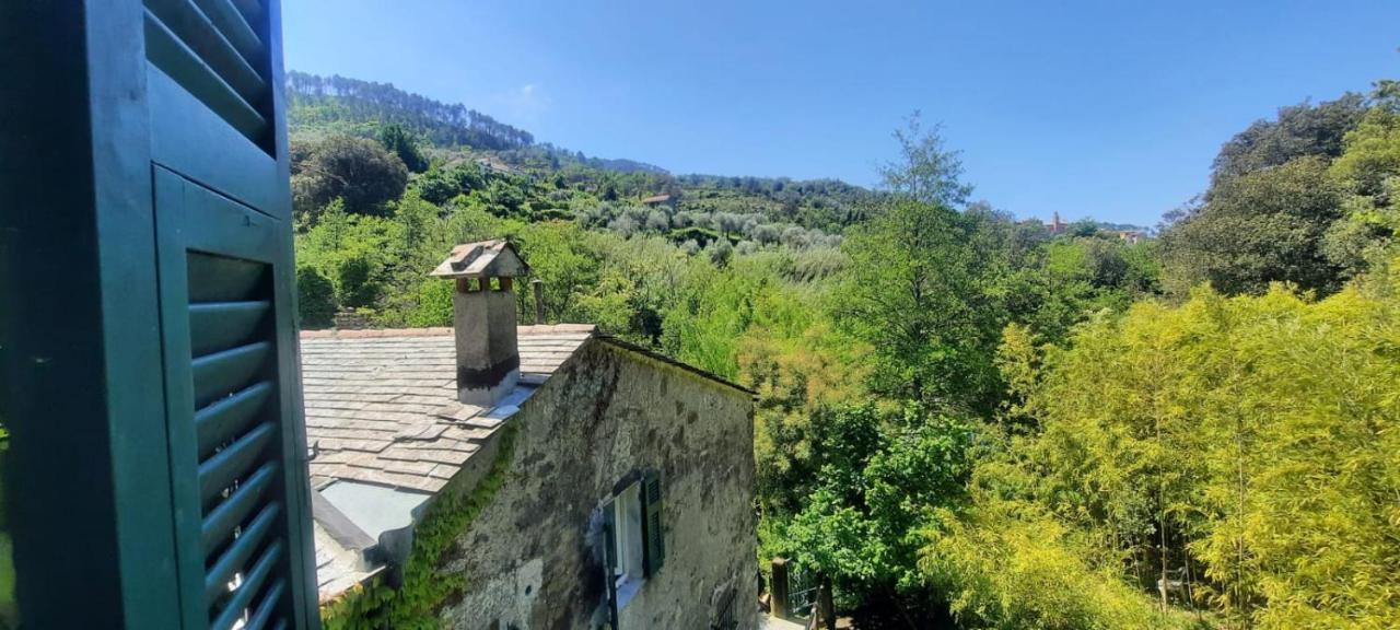Vecchio Mulino Fontona Ortensia Chiesanuova  Dış mekan fotoğraf