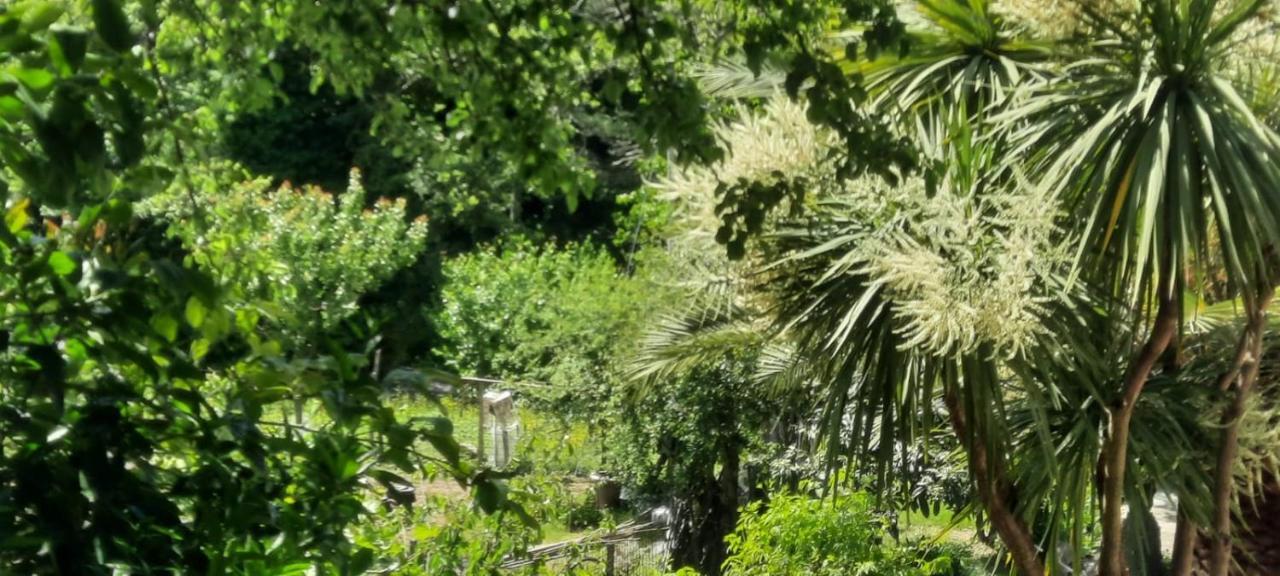 Vecchio Mulino Fontona Ortensia Chiesanuova  Dış mekan fotoğraf