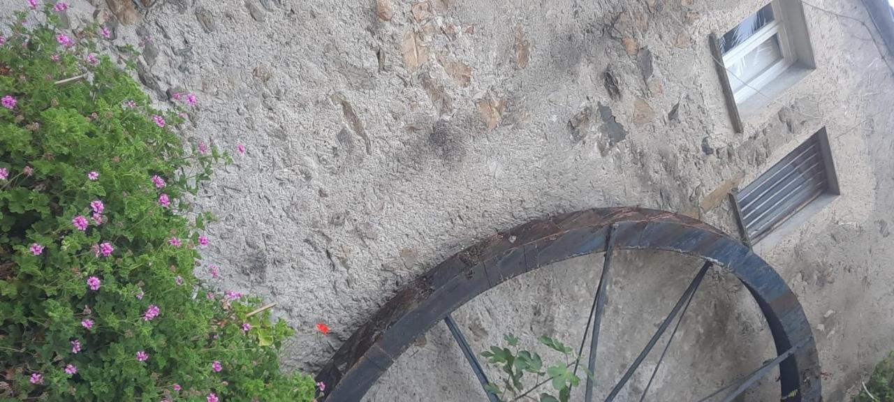 Vecchio Mulino Fontona Ortensia Chiesanuova  Dış mekan fotoğraf