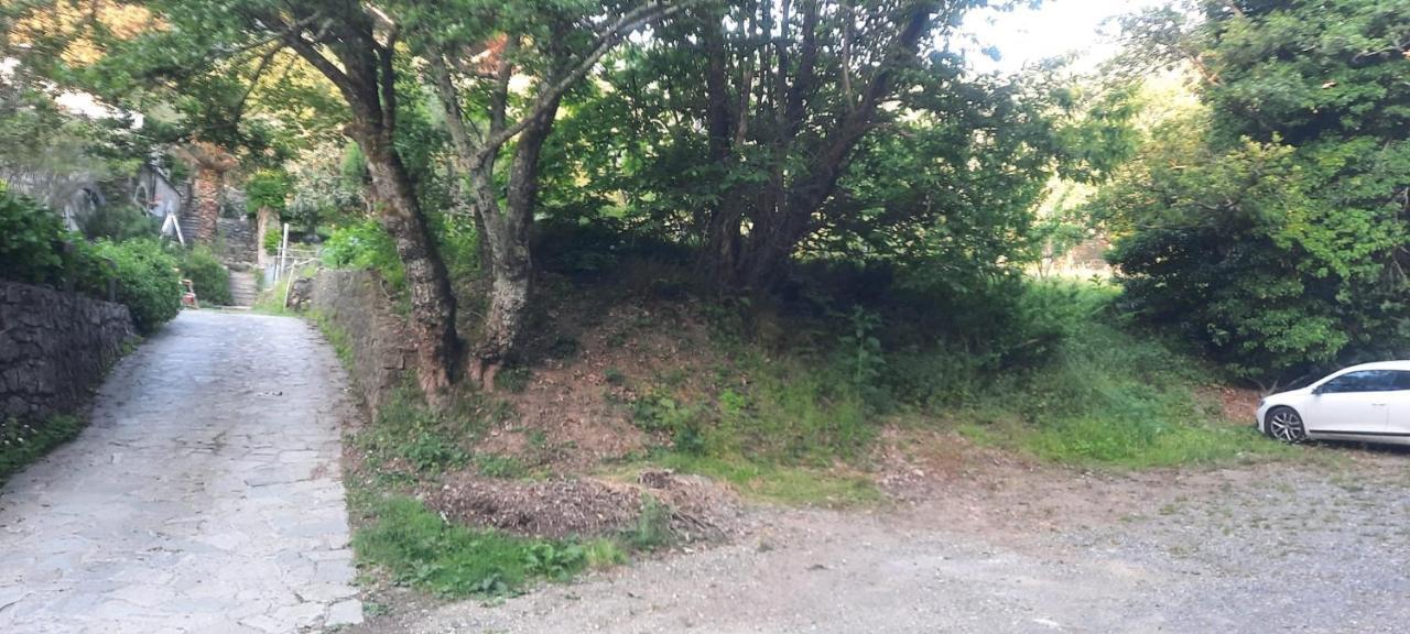 Vecchio Mulino Fontona Ortensia Chiesanuova  Dış mekan fotoğraf