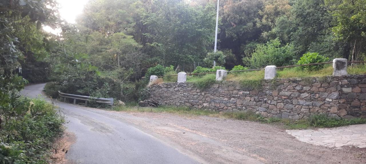 Vecchio Mulino Fontona Ortensia Chiesanuova  Dış mekan fotoğraf