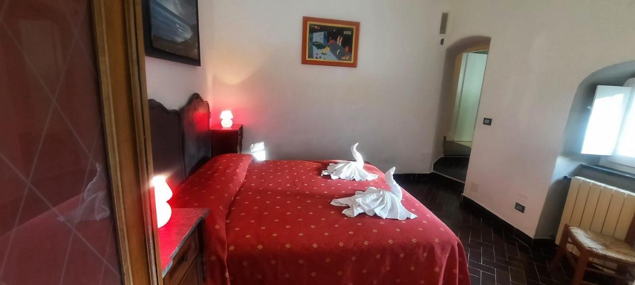 Vecchio Mulino Fontona Ortensia Chiesanuova  Dış mekan fotoğraf